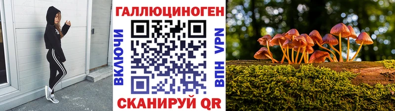 darknet клад  Советск  Галлюциногенные грибы Magic Shrooms 